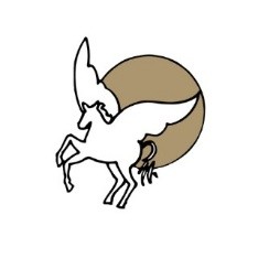 Pegasus Transportation Inc.